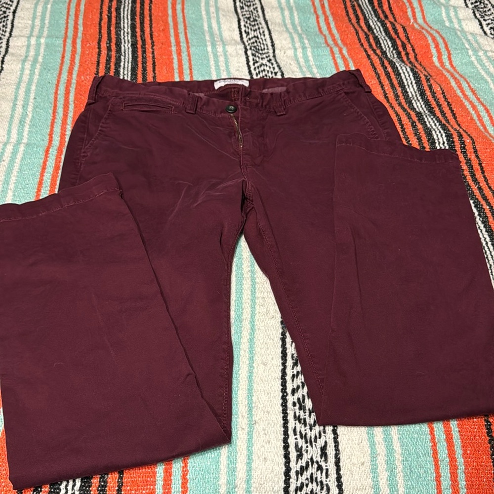 Express Brand Pants